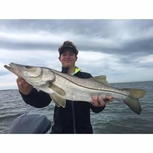 Meet your Posher, Brandon